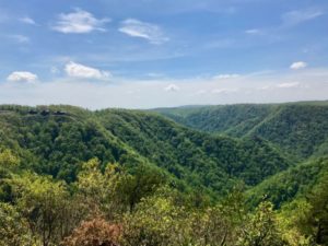 Primland Resort: Luxury and Outdoor Fun in the Blue Ridge Mountains