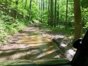 Primland Resort: Luxury and Outdoor Fun in the Blue Ridge Mountains