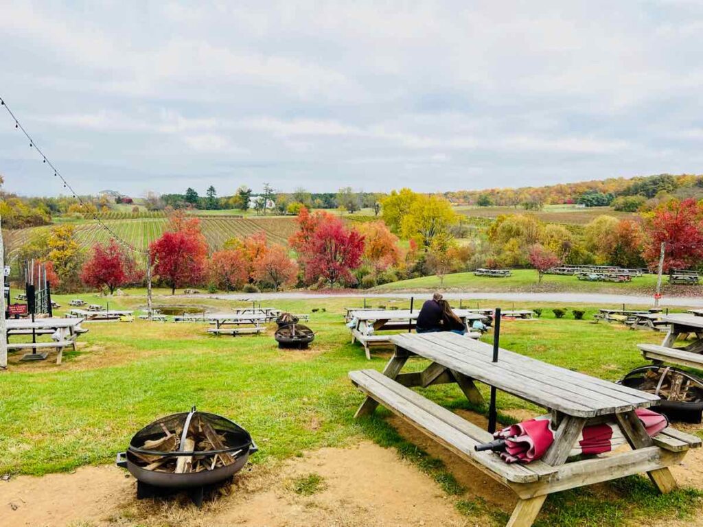 Barrel Oak Winery and Brewery Fall View in Delaplane VA