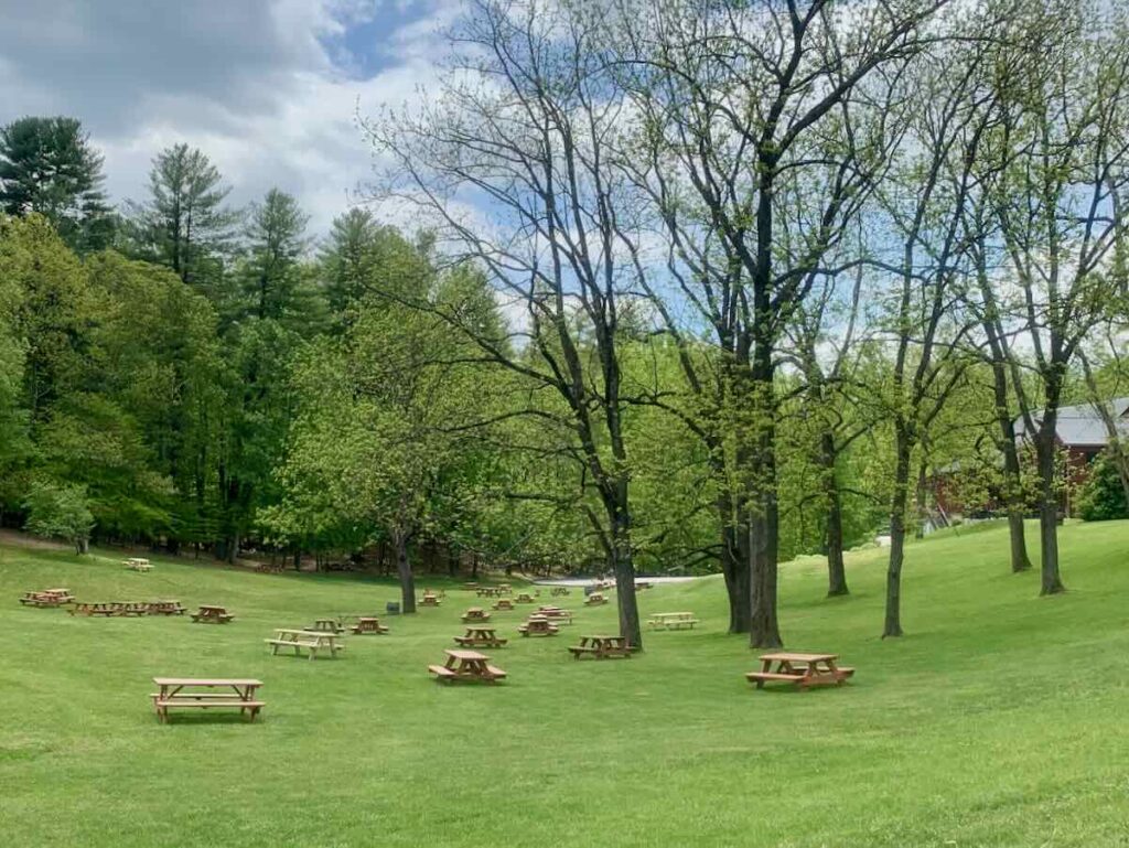 Paradise Springs Winery Lawn Seating is dotted with picnic tables and has lots of open space.