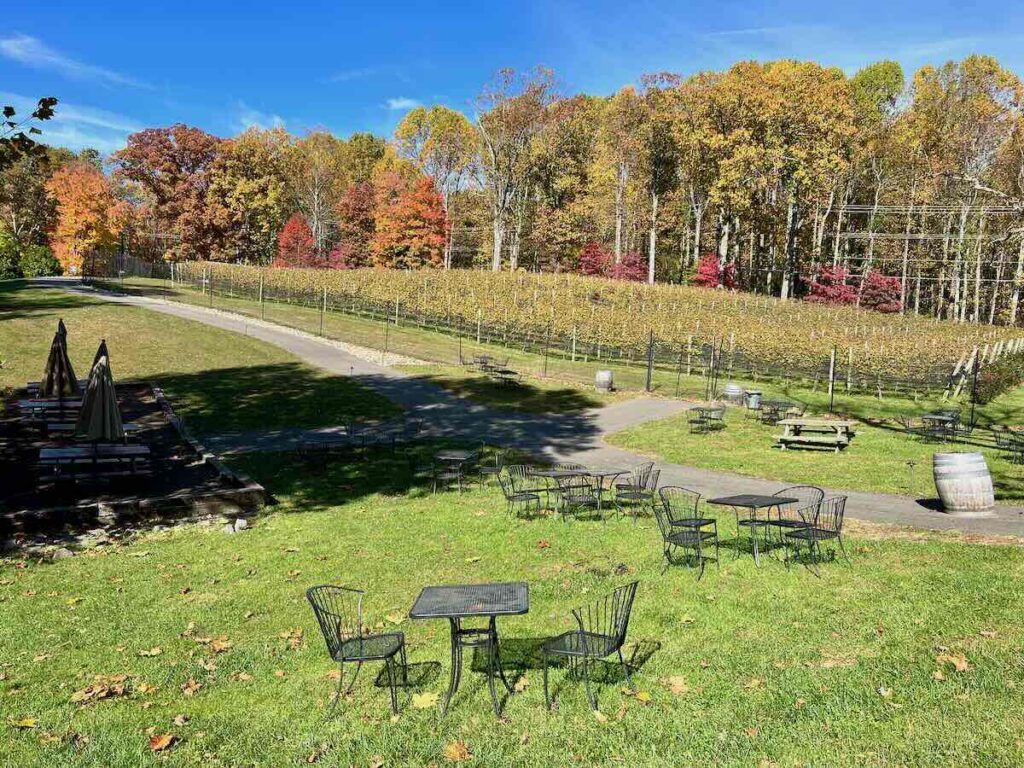 Colorful Fall Foliage surrounds the Paradise Springs Winery Vineyard Seating