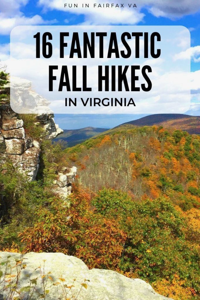 16 favorite fall hikes in Virginia to enjoy beautiful fall foliage and Autumn fun near Washington DC.