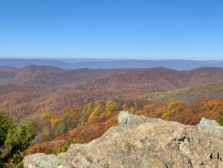 Bearfence Mountain fall foliage in Shenandoah National Park in late October