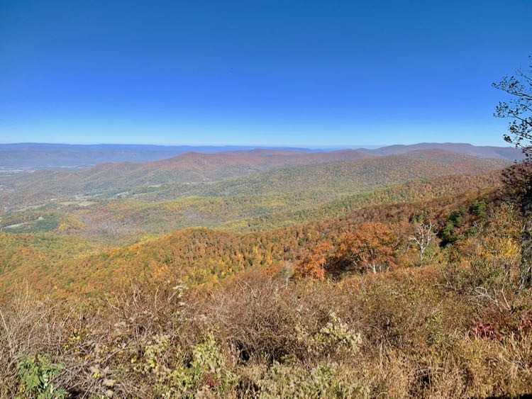 Jewell Hollow Overlook fall foliage in Shenandoah National Park