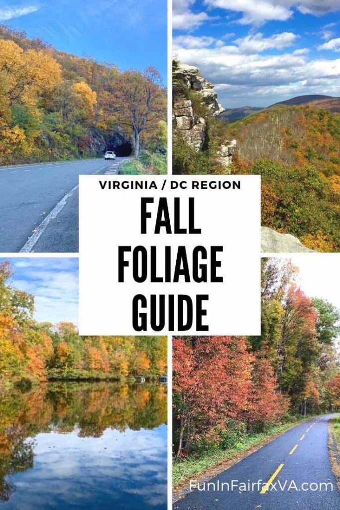 Discover the best places to see Northern Virginia fall foliage and enjoy Autumn beauty on fun fall outings in the Washington DC region.