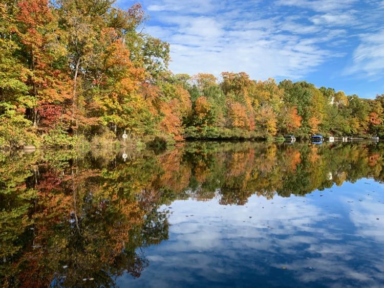 Fall foliage at Lake Audubon in Reston VA