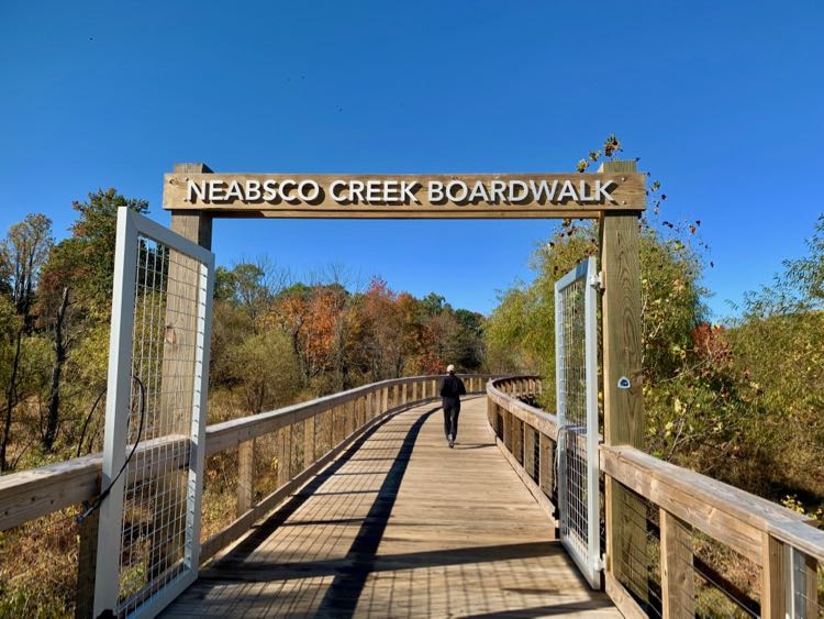 Neabsco Creek Boardwalk Hike in Northern Virginia