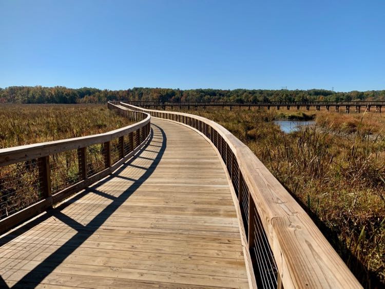 Neabsco-Creek-Boardwalk-Trail-winds-over-the-wetlands.jpg Neabsco-Creek-Boardwalk-Trail-winds-over-the-wetlands.jpg