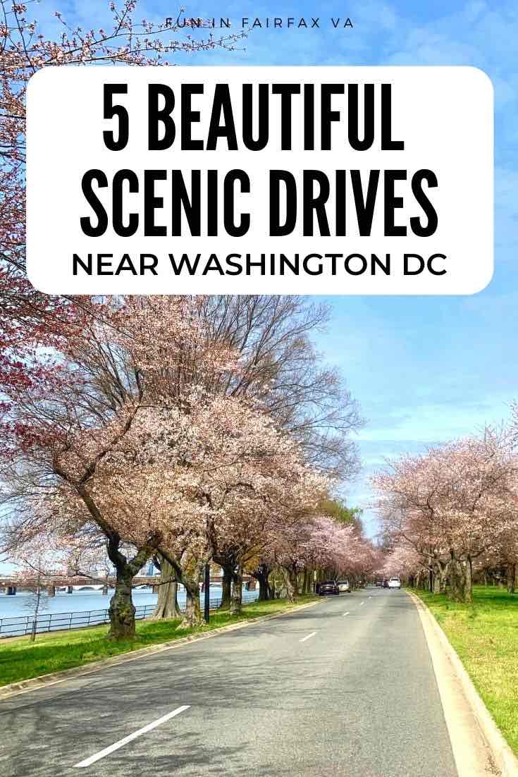 5 scenic drives in Virginia perfect for outdoor adventure or a relaxed road trip near Washington DC.