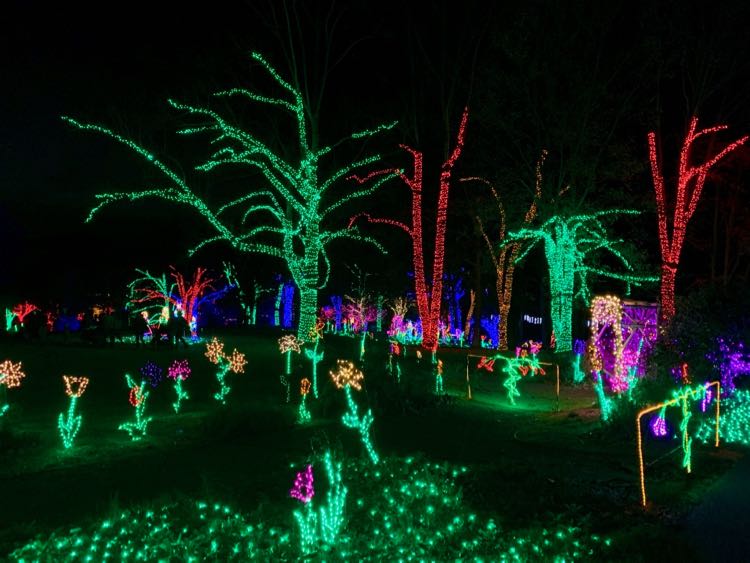 Meadowlark Gardens Winter Walk Of Lights Holiday Fun In Northern Va