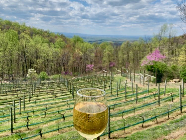 Hike and Wine day trips near Washington DC