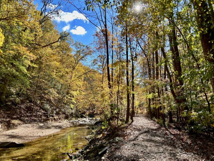 Pretty view of Scotts Run next to the trail.