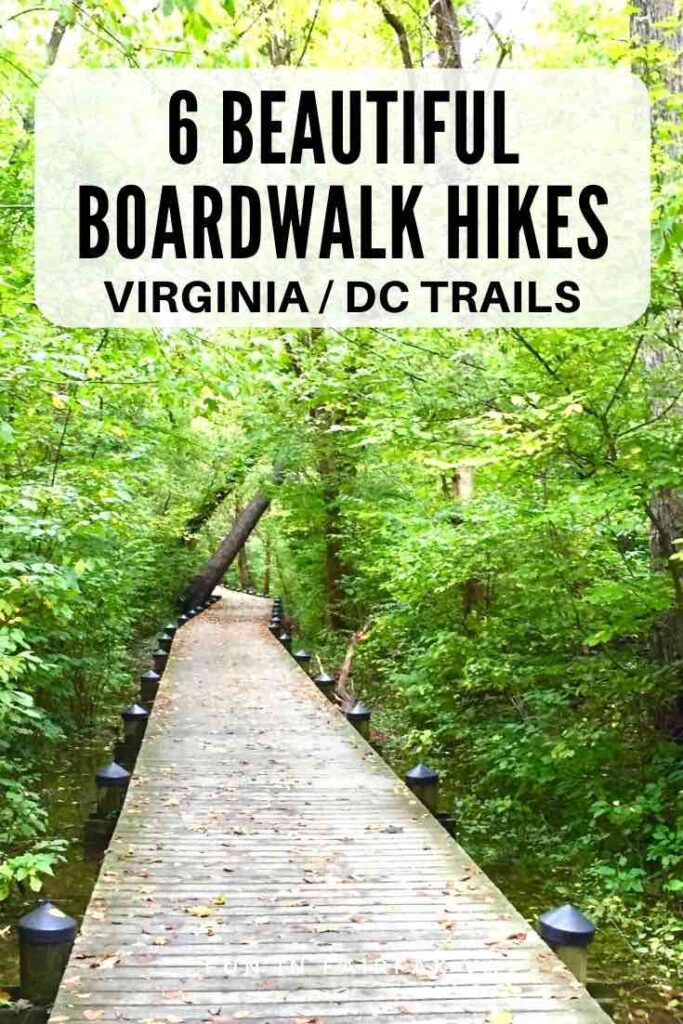 7 beautiful boardwalk hikes on Virginia trails near Washington DC