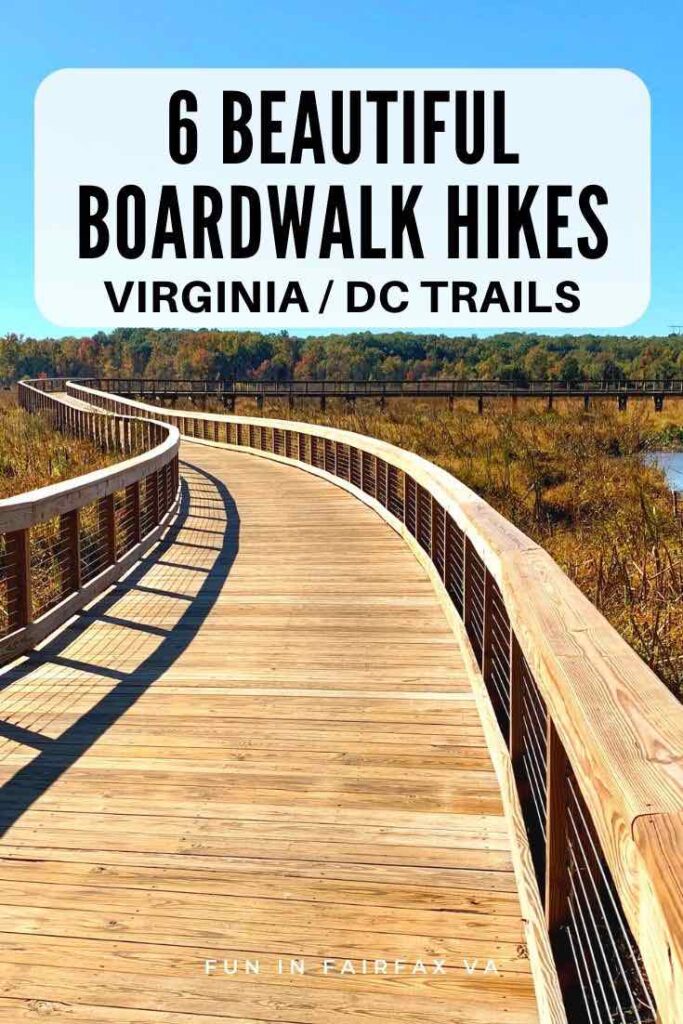 Explore 7 beautiful boardwalk hikes in Northern Virginia to get close to nature and unique wetland habitats near Washington DC.