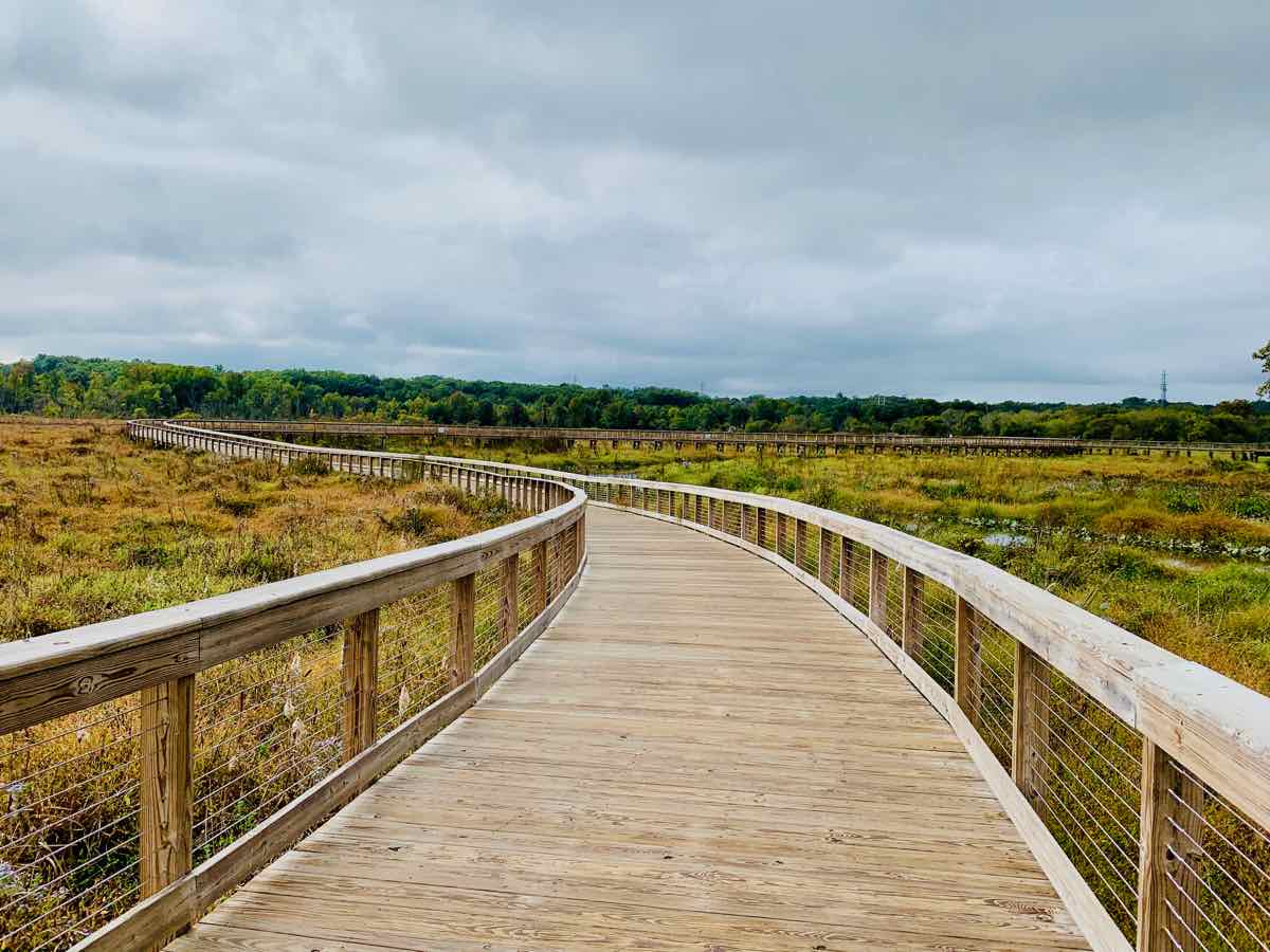 Neabsco Creek Boardwalk, a beautiful boardwalk trail in Northern Virginia