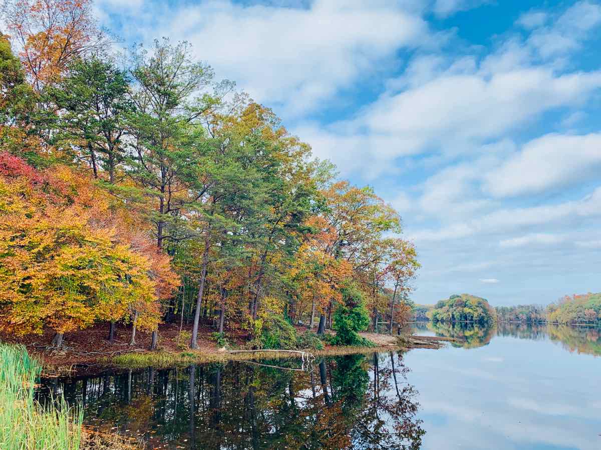Fall Foliage at Burke Lake Park in Virginia