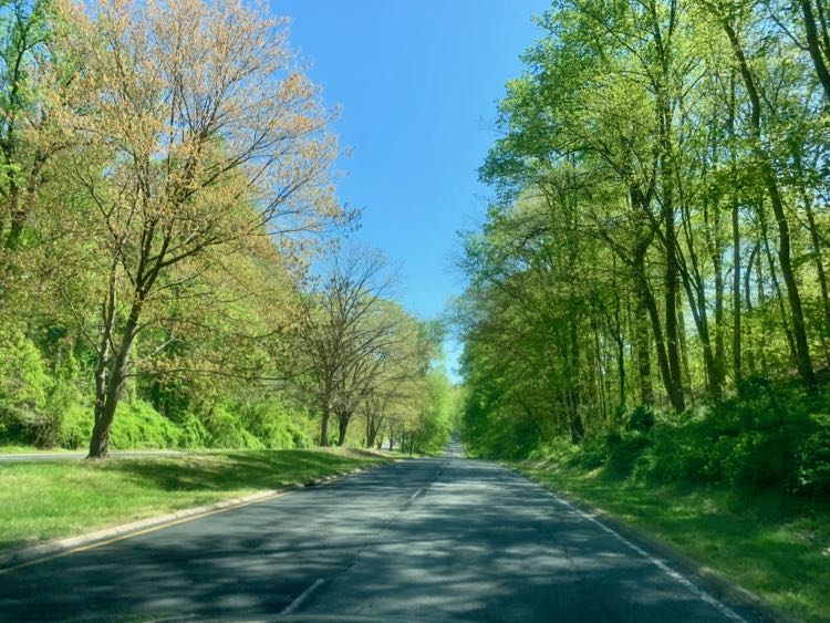 George Washington Memorial Parkway scenic drive in Spring