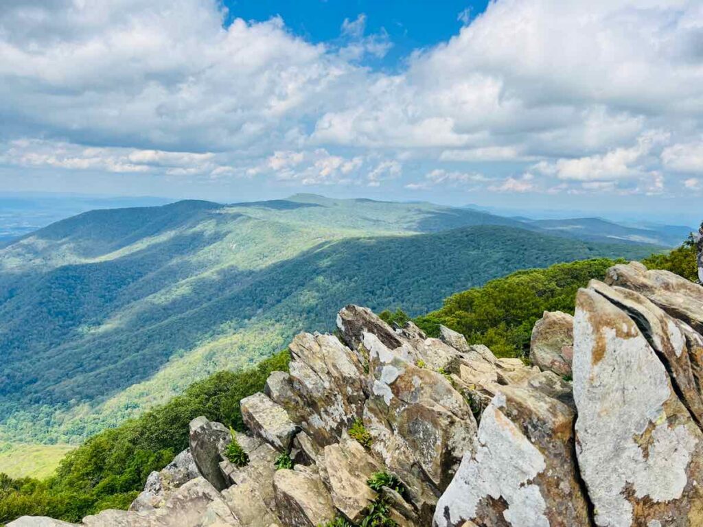 Hawksbill Summit View