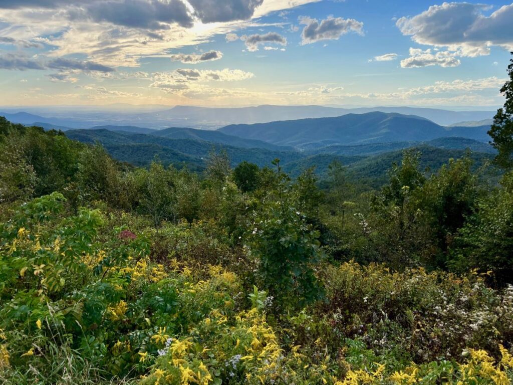 View from The Point Overlook Skyline Drive