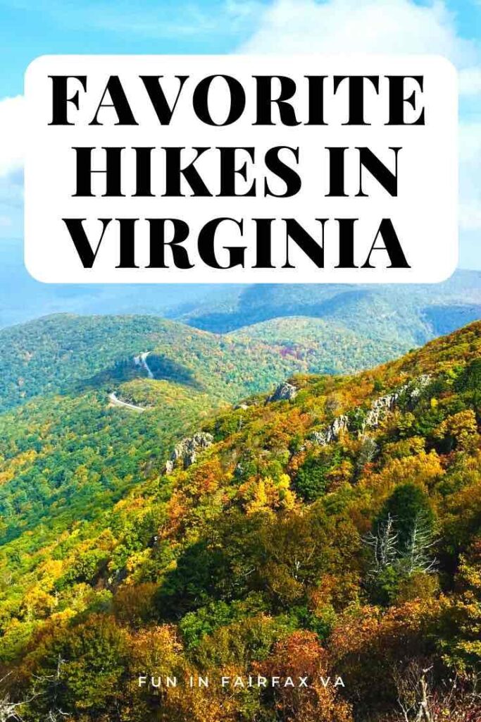 Favorite Northern Virginia hikes and bike trails include easy strolls to challenging climbs from the Potomac to the Blue Ridge, for fun hiking near Washington DC.