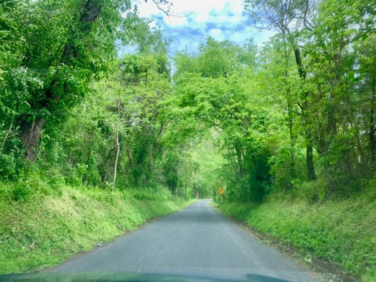 Scenic road in Montgomery County Maryland