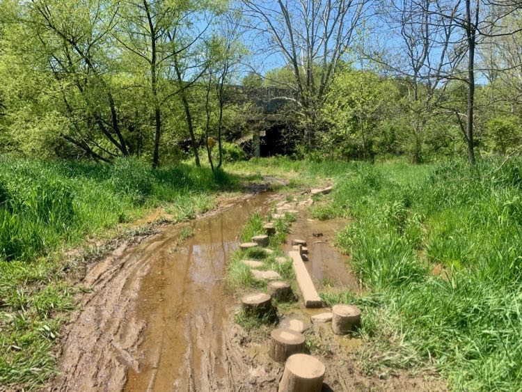 Muddy trail section near the Dulles Toll Road on Fairfax CCT segment 9