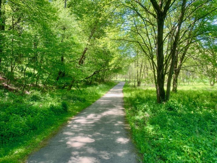 Paved CCT south of Browns Mill Road