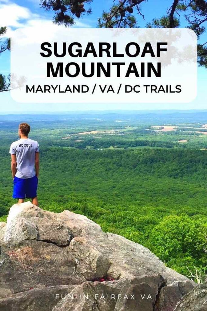 A hiker enjoys the view from Sugarloaf Mountain summit in Maryland, close to Washington DC