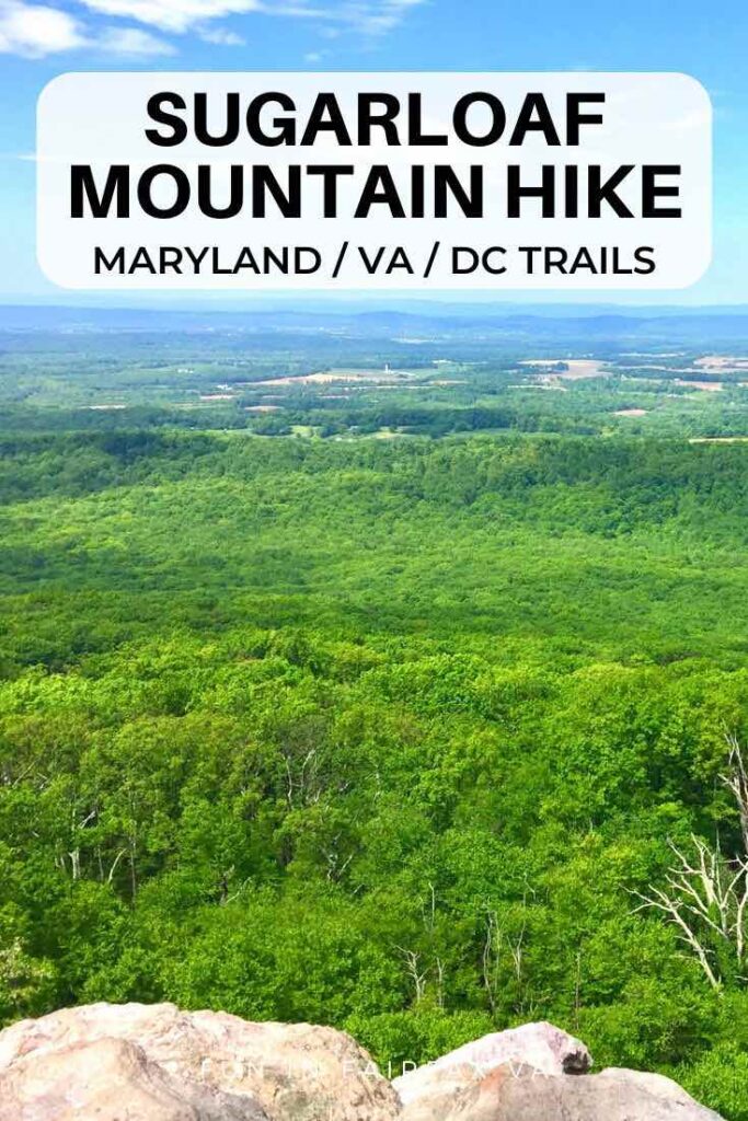 A Sugarloaf Mountain hike offers beautiful views of the Maryland countryside, picnicking, and a convenient network of trails close to Washington DC.