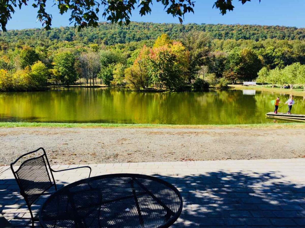 View of Fall Foliage and Pond at Doukenie Winery in Purcellville Virginia