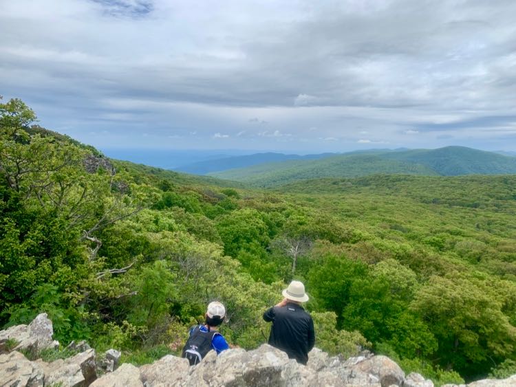 Enjoying Stony Man Summit view south