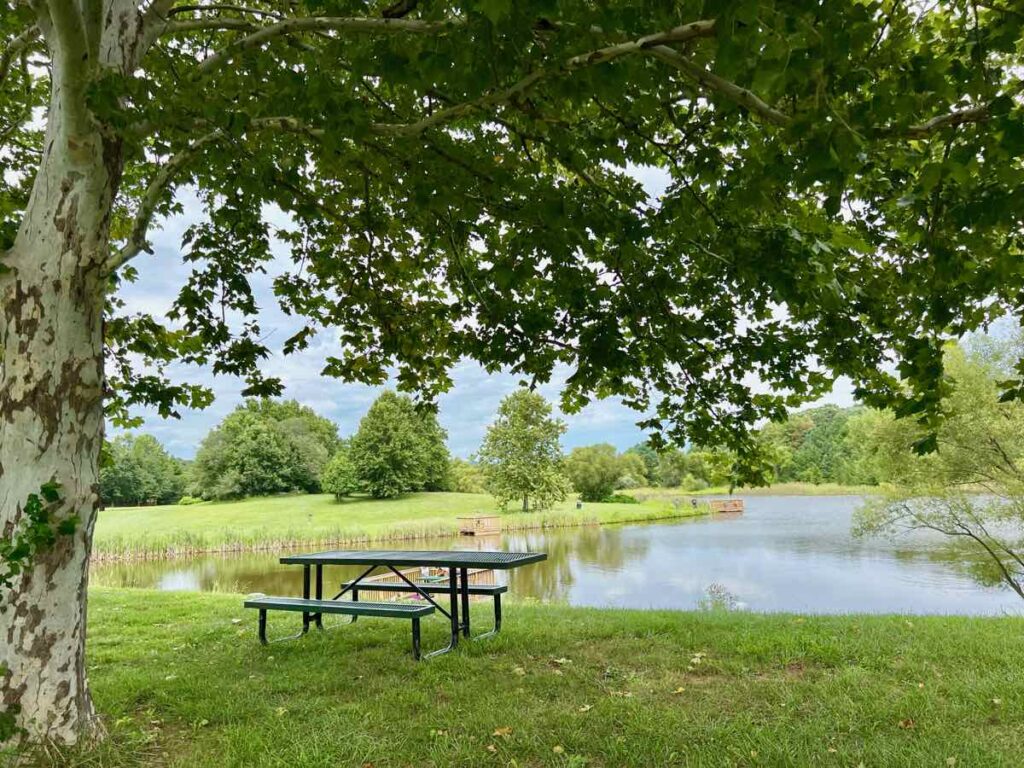 Fishing Pond at Franklin Park in Purcellville Virginia