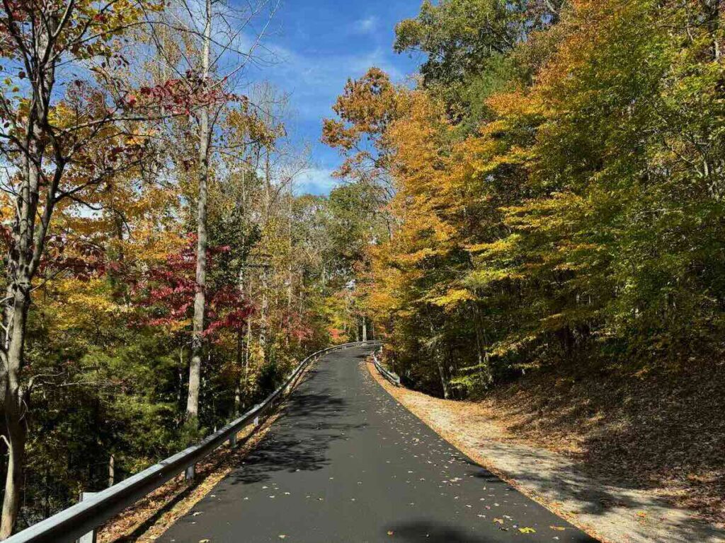 Fountainhead Park Fall Foliage