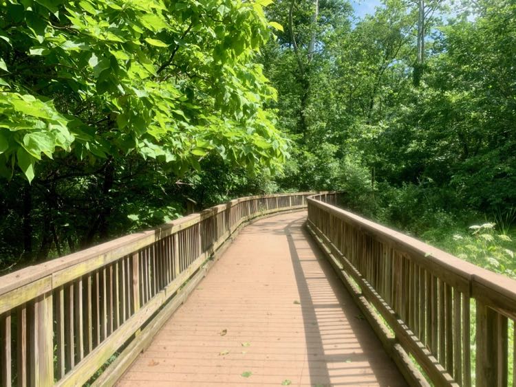 Sugarland Run South Trail boardwalk