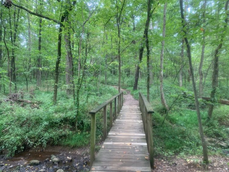 Stream crossing on the Blue Trail