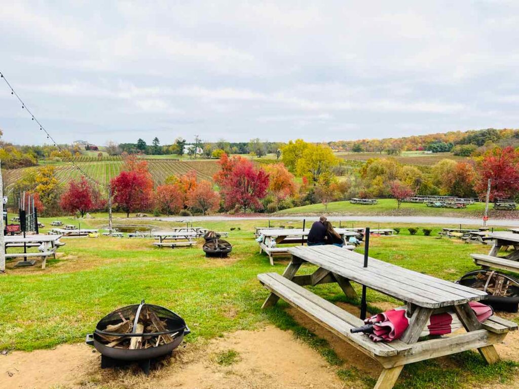 Fall view at Barrel Oak Winery in Delaplane Virginia