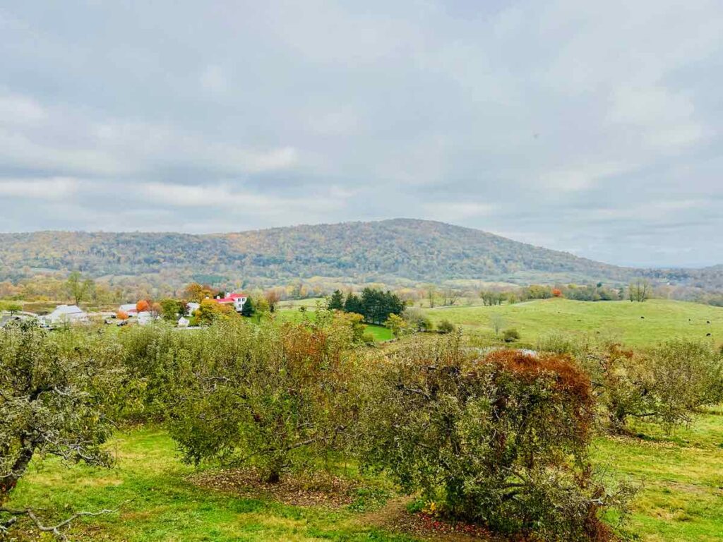 Hartland Orchard in Virginia is a Beautiful Place for Apple Picking, Pumpkin Patches, and Great Views.