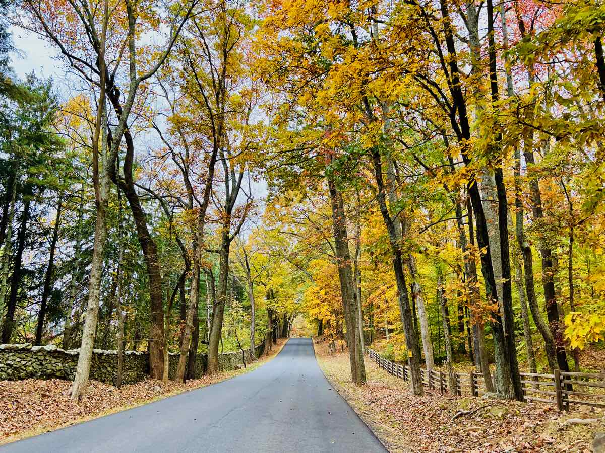 Fall Foliage and Stone Walls Line the Road on the Hunt Country Scenic Drive in The Plains