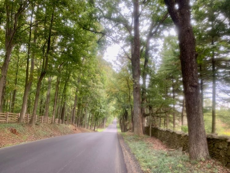 Scenic road in The Plains Virginia