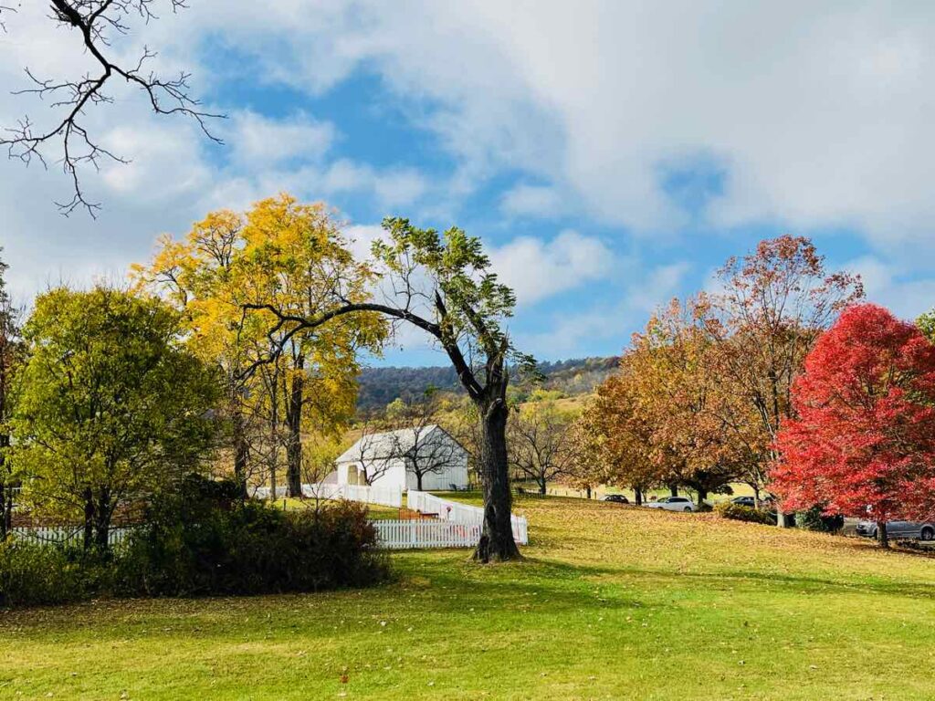 Fall foliage colors the view at the Sky Meadows Historic Area