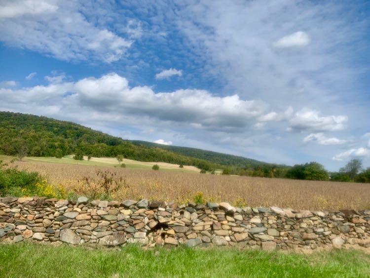 Stone wall and view in Upperville Virginia