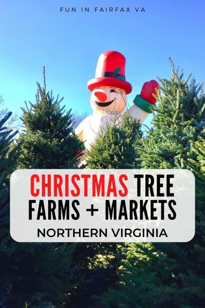 Onde comprar árvores de Natal no norte da Virgínia no corte das suas próprias fazendas de árvores e centros de jardinagem populares e mercados perto de DC
