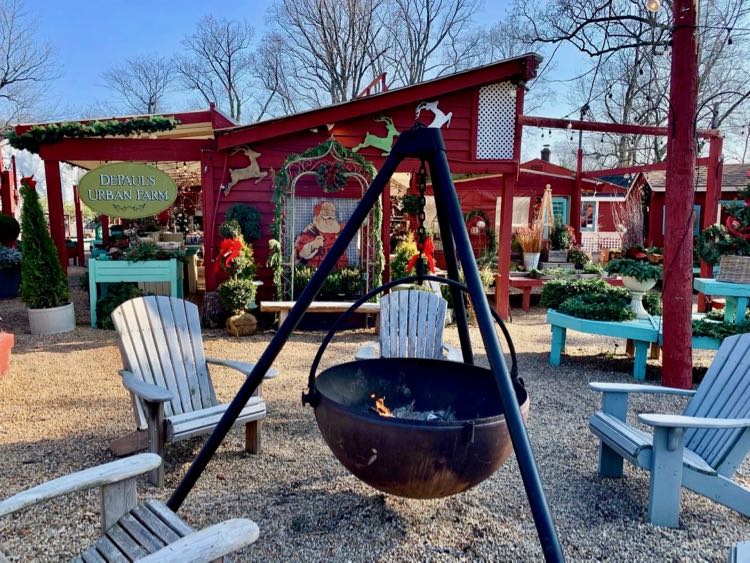 Kerstboom winkelen bij DePauls Urban Market in Wenen, Noord-Virginia