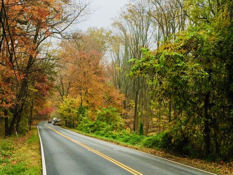 Great Falls Scenic Drive fall foliage on Georgetown Pike