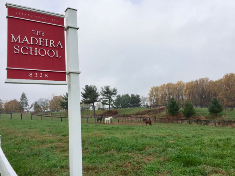 Horses in the field at the Madeira School