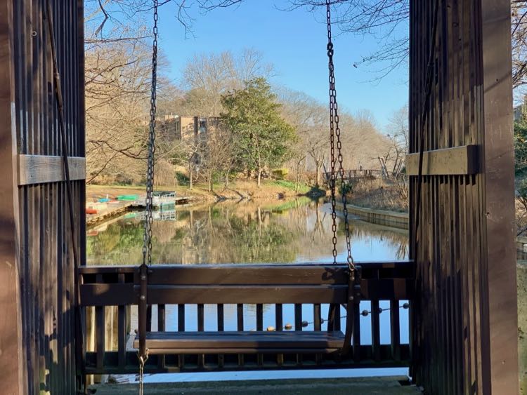 The Swing at Lake Anne is one of our favorite romantic places in Reston Virginia