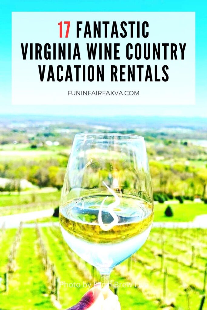 Stunning view from Bluemont Vineyard near  17 unique and beautiful Virginia Wine Country vacation rentals for a perfect getaway in the Washington DC region.