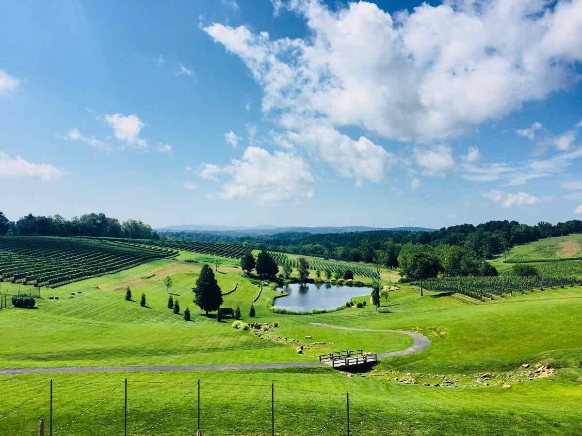 Beautiful Winery Views from Stone Tower Winery in Northern Virginia