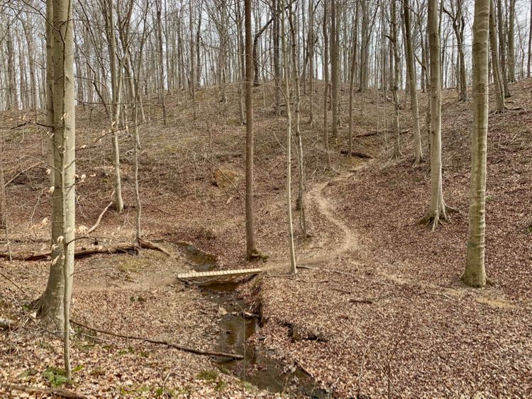 Bridge and woods northern BROT