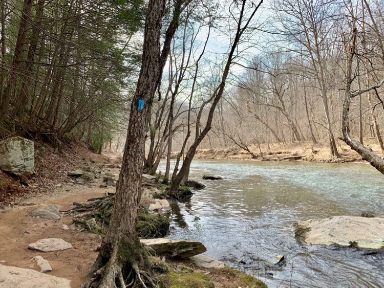 Northern Bull Run Occoquan Trail in Clifton